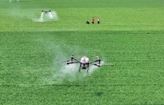 旗号网：认为动力提拔国度粮食平安保障程度